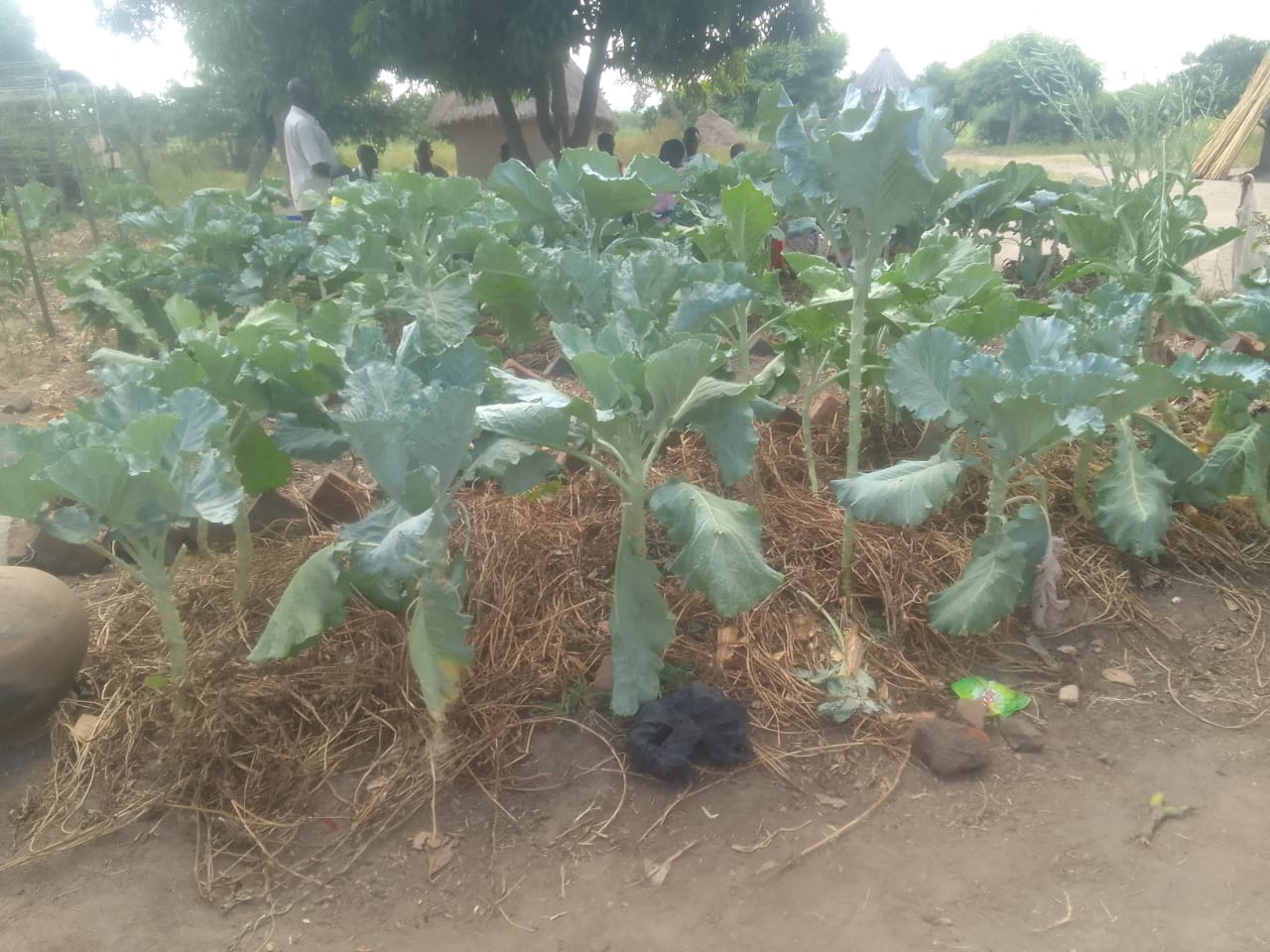 WhatsApp Image 2025-12-16 at 4.34.53 PM WhatsApp Image 2025-12-16 at 4.34.53 PM