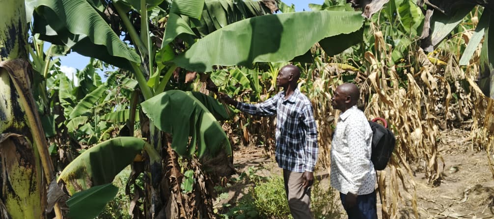 WhatsApp Image 2025-12-18 at 1.33.32 PM WhatsApp Image 2025-12-18 at 1.33.32 PM