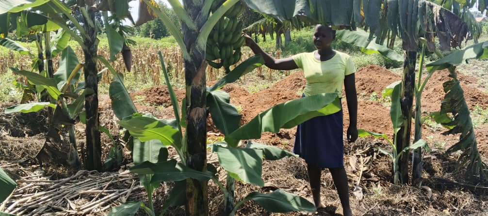 WhatsApp Image 2025-12-18 at 1.33.33 PM WhatsApp Image 2025-12-18 at 1.33.33 PM