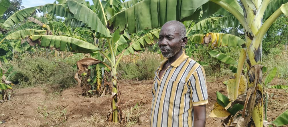 WhatsApp Image 2025-12-18 at 1.33.34 PM (copy 1) WhatsApp Image 2025-12-18 at 1.33.34 PM (copy 1)