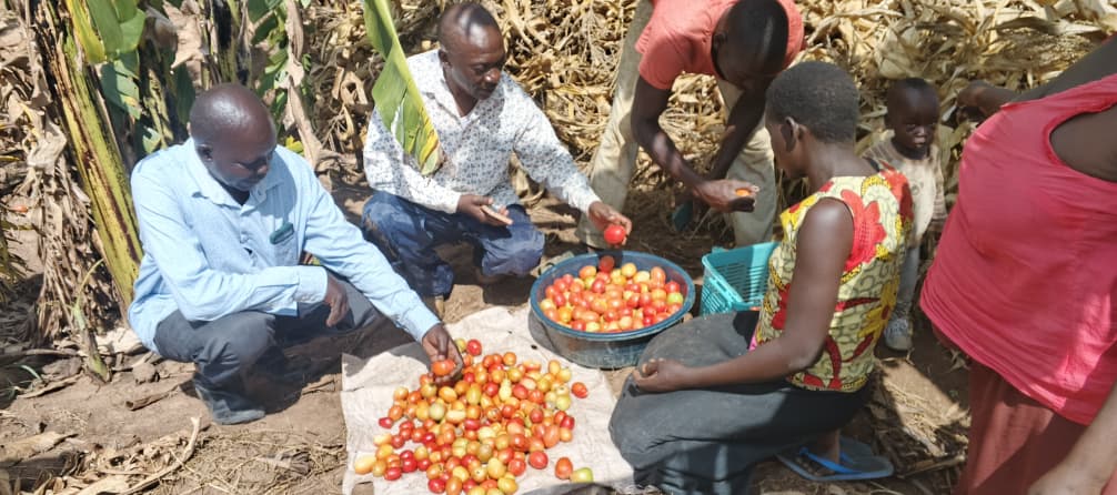 WhatsApp Image 2025-12-18 at 1.33.35 PM (copy 1) WhatsApp Image 2025-12-18 at 1.33.35 PM (copy 1)