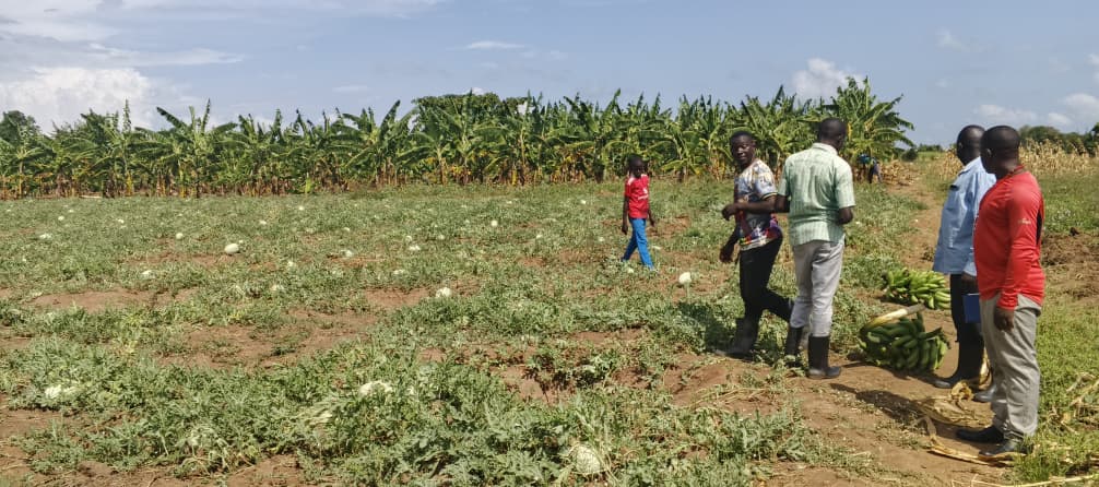 WhatsApp Image 2025-12-18 at 1.33.37 PM WhatsApp Image 2025-12-18 at 1.33.37 PM