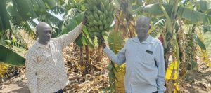 Agriculture Project Transforms Lives in Kalanga Village