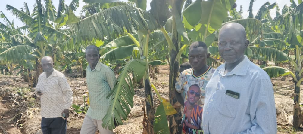 WhatsApp Image 2025-12-18 at 1.33.42 PM WhatsApp Image 2025-12-18 at 1.33.42 PM