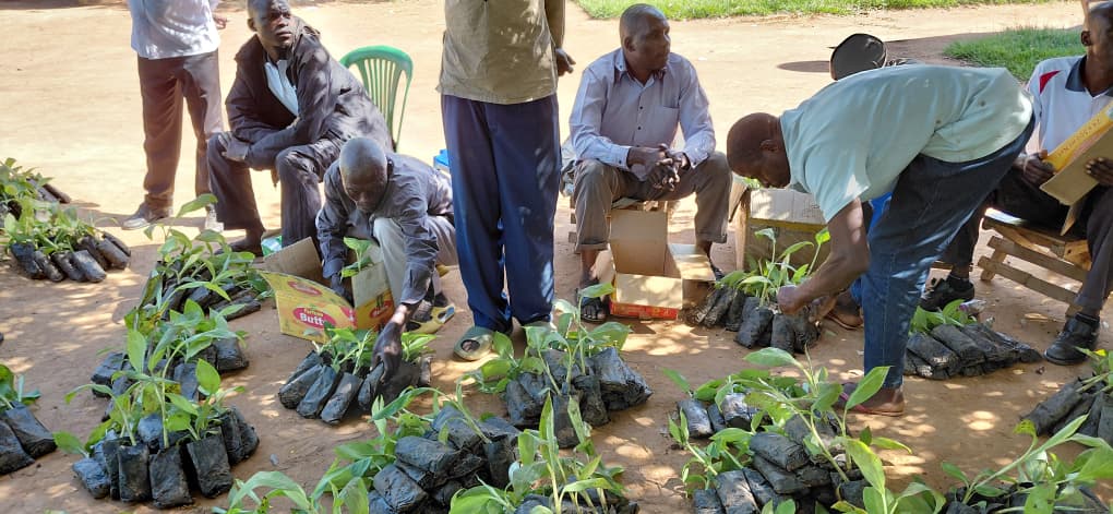 WhatsApp Image 2026-04-14 at 6.23.58 PM WhatsApp Image 2026-04-14 at 6.23.58 PM