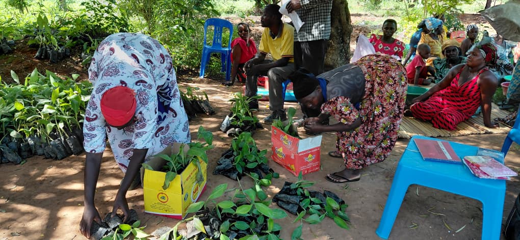 WhatsApp Image 2026-04-14 at 6.24.12 PM WhatsApp Image 2026-04-14 at 6.24.12 PM